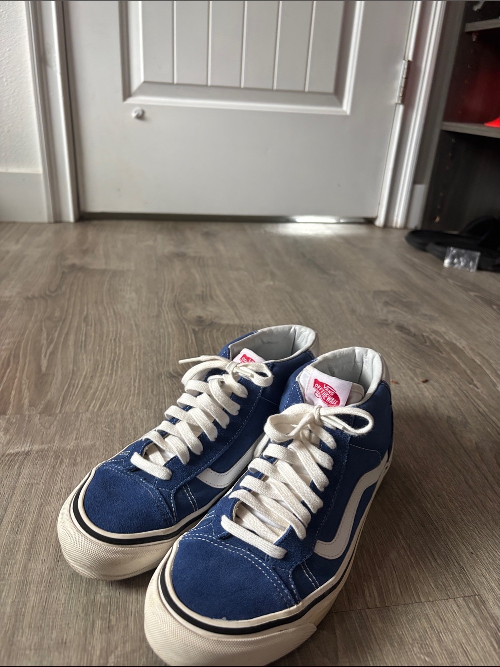 Vans Blue Suede Skate Sneakers with White Stripe